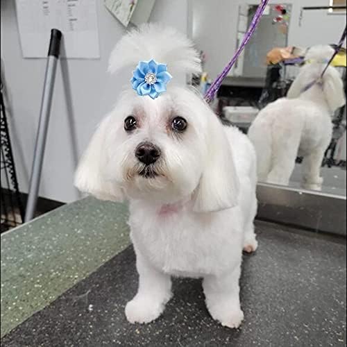 40Pcs Puppy Yorkie Dog Hair Bows Flower with Rubber Band,Pet Small Dog Girl Flower Christmas Hair Topknot Bowknot Hair Accessories Pet Grooming for Party Christmas Birthday