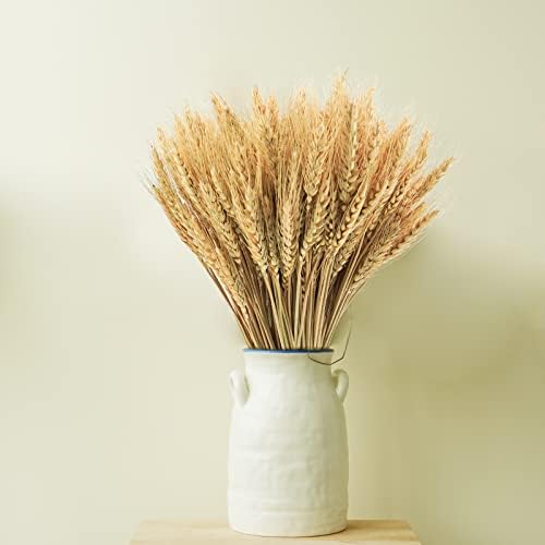 200 Pcs Dried Wheat Stalks, Dried Flowers Natural Wheat for Home Kitchen Office Flowers Arrangement Wedding Table Christmas Farmhouse Boho Party Fall Décor (17.5 inches)