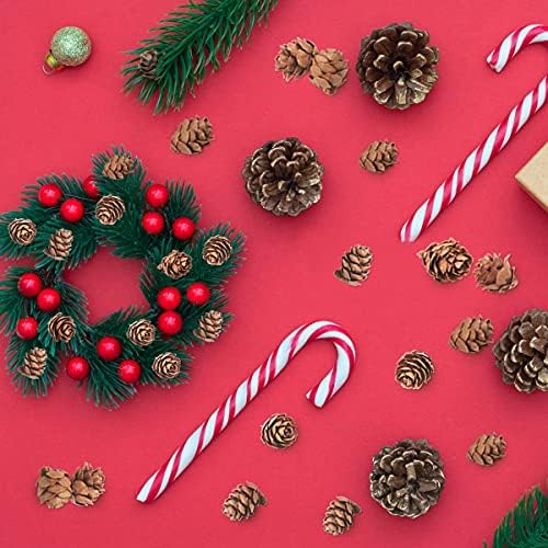 200PCS Christmas Natural Pine Cones Mini Fall Decorations Pinecones Ornaments Bulk Small Pine Cones for DIY Crafts Thanksgiving Fall Winter Christmas Wedding Decor Vase Filler Decor