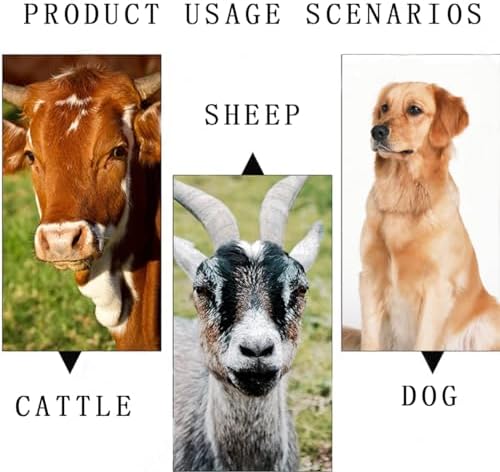 4 Pack Small Brass Bell Cow Horse Sheep Grazing Copper Bells Cattle Farm Animal Loud Bell Pet Anti-Theft Accessories for Christmas Decoration (Green Bronze and Red Bronze)