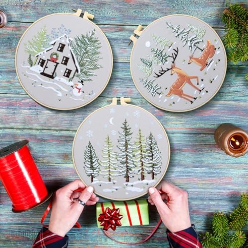 Tigeen 5 Sets Christmas Embroidery Kit for Adults Cross Stitch Embroidery Kit for Winter Snow Scene Christmas Tree with Instructions Hoops Needles Colored Threads Needle