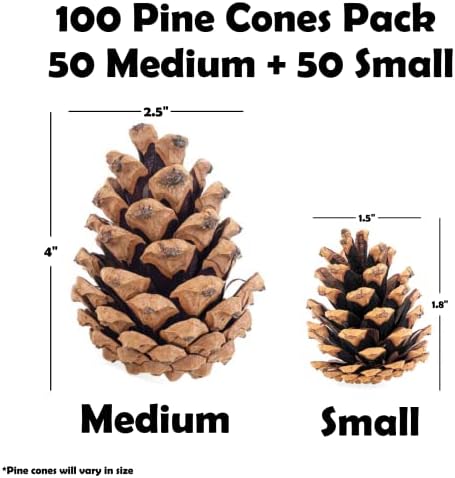 100 Mix Size Natural Pine Cones, 50 Medium & 50 Small Unscented Pinecones Crafts Ornament for Decorating, Pine Cones Craft for Table, Home Decor, Vase Fillers, Desk & Christmas Trees by Billy Buckskin