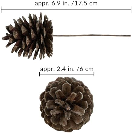 Winlyn 20 Pcs Natural Pine Cone Picks Christmas Pinecone Sprays Pinecones Ornaments with Wired Stems 6.9" Tall for Rustic Christmas Tree Party Floral Arrangements Wreath Crafts Holiday Décor
