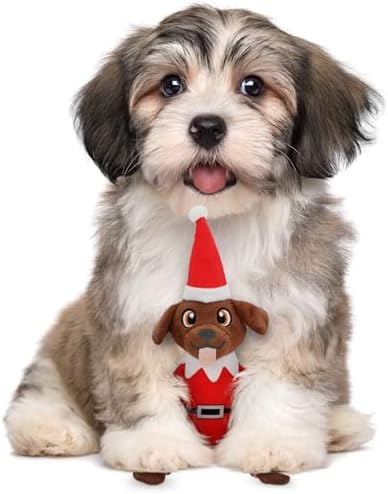 Pooch on a Perch - Christmas Elf Dog Toy, Cute Plush Dog Present with Crinkle & Squeak, Elf Pet Holiday Toy & Puppy Stocking Stuffer