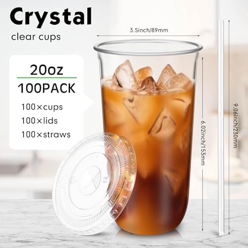 100 Sets Clear Plastic Cups with Lids and Straws, Disposable Iced Coffee Cups for Drinking, Cold Drinks, Juice, Smoothie, Pet Cup for Coffee Shops, Party, Christmas(20 oz)
