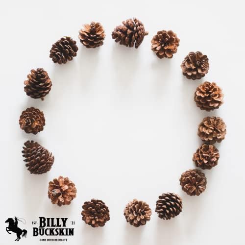 100 Mix Size Natural Pine Cones, 50 Medium & 50 Small Unscented Pinecones Crafts Ornament for Decorating, Pine Cones Craft for Table, Home Decor, Vase Fillers, Desk & Christmas Trees by Billy Buckskin
