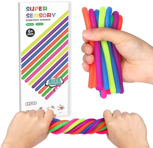 12 Pcs Sensory Toys for Kids,Fidget Stretchy Strings for Stress, Anxiety, Sensory Toys Special Needs for Autistic ADHD Autism Children Toddlers Boys Girls,Halloween Christmas Party Favor
