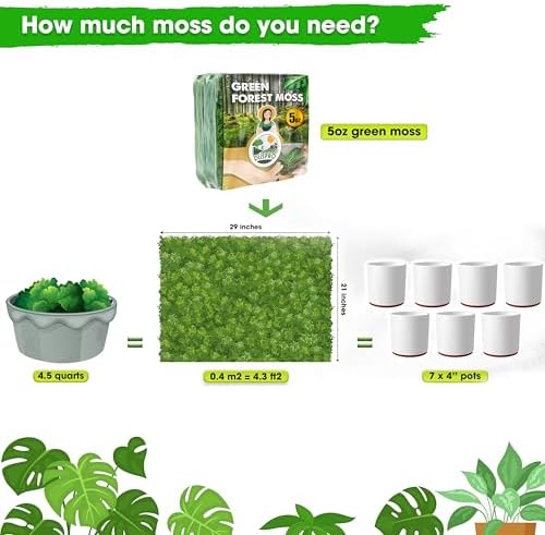 [Upgraded] DUSPRO Green Moss for Crafts, Real Forest Moss Potted Plants, Decorative Mosses for Table Centerpieces Wedding Christmas Fairy Party Decor, Indoor Planters, DIY Project (1.25 Lbs)