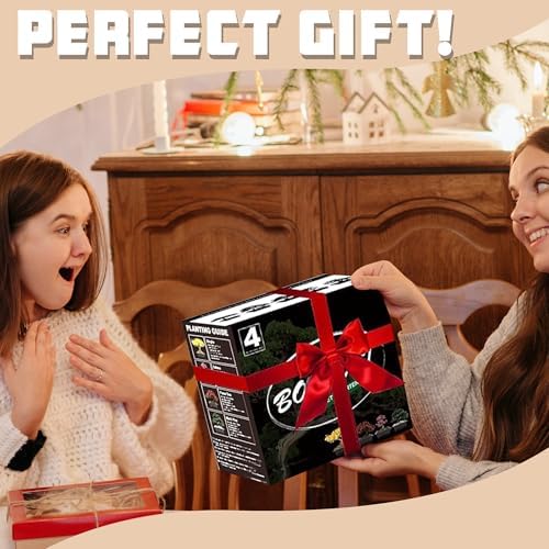 Bonsai Garden Starter Kit, 4 Seeds Growing into Sakura, Ginkgo, Black Pine, Red Flame, Including Complete Gardening Tools & A Wooden Box with Cover, Christmas Gifts for Men Women Beginners