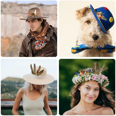 10Pcs Hat Feathers, Natural Feathers Peacock Feathers for Hats, Colorful Feathers Pin Cowboy Hat Feather for Western Cowboy Hats Christmas Party Hats, Feathers Accessories DIY Decorations (10 Style)