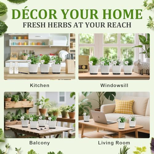 10-Set Indoor Herb Garden Starter Kit, 7 Seeds Growing into Basil, Parsley, Thyme, Mint, Cilantro, Dill, Oregano Including 10 White Pots, Markers, Nutritional Soil, Ideal Christmas Gifts for Women
