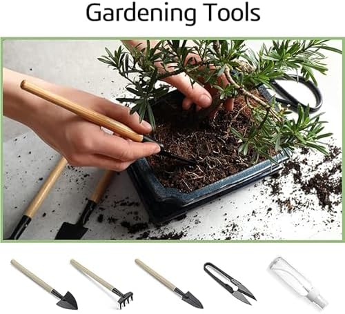 Bonsai Garden Starter Kit, 4 Seeds Growing into Sakura, Ginkgo, Black Pine, Red Flame, Including Complete Gardening Tools & A Wooden Box with Cover, Christmas Gifts for Men Women Beginners