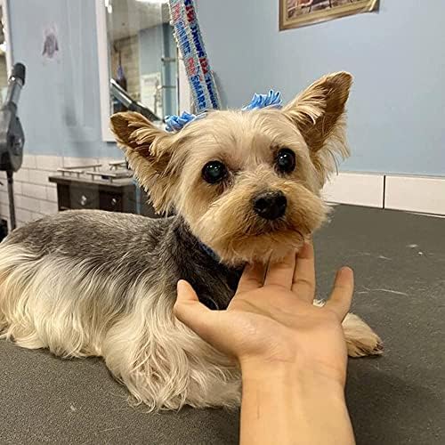40Pcs Puppy Yorkie Dog Hair Bows Flower with Rubber Band,Pet Small Dog Girl Flower Christmas Hair Topknot Bowknot Hair Accessories Pet Grooming for Party Christmas Birthday