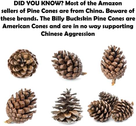 100 Mix Size Natural Pine Cones, 50 Medium & 50 Small Unscented Pinecones Crafts Ornament for Decorating, Pine Cones Craft for Table, Home Decor, Vase Fillers, Desk & Christmas Trees by Billy Buckskin