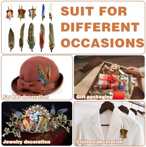 10Pcs Hat Feathers, Natural Feathers Peacock Feathers for Hats, Colorful Feathers Pin Cowboy Hat Feather for Western Cowboy Hats Christmas Party Hats, Feathers Accessories DIY Decorations (10 Style)