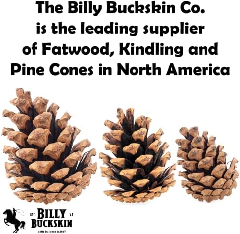 100 Mix Size Natural Pine Cones, 50 Medium & 50 Small Unscented Pinecones Crafts Ornament for Decorating, Pine Cones Craft for Table, Home Decor, Vase Fillers, Desk & Christmas Trees by Billy Buckskin