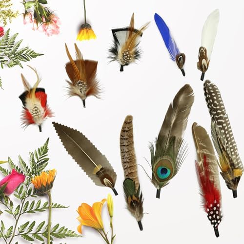 10Pcs Hat Feathers, Natural Feathers Peacock Feathers for Hats, Colorful Feathers Pin Cowboy Hat Feather for Western Cowboy Hats Christmas Party Hats, Feathers Accessories DIY Decorations (10 Style)