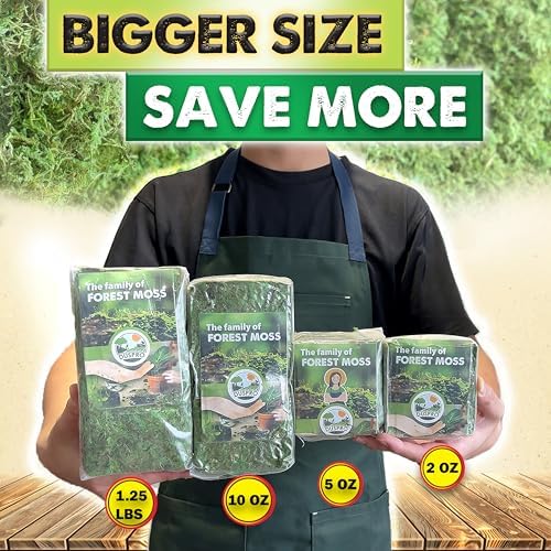 [Upgraded] DUSPRO Green Moss for Crafts, Real Forest Moss Potted Plants, Decorative Mosses for Table Centerpieces Wedding Christmas Fairy Party Decor, Indoor Planters, DIY Project (1.25 Lbs)