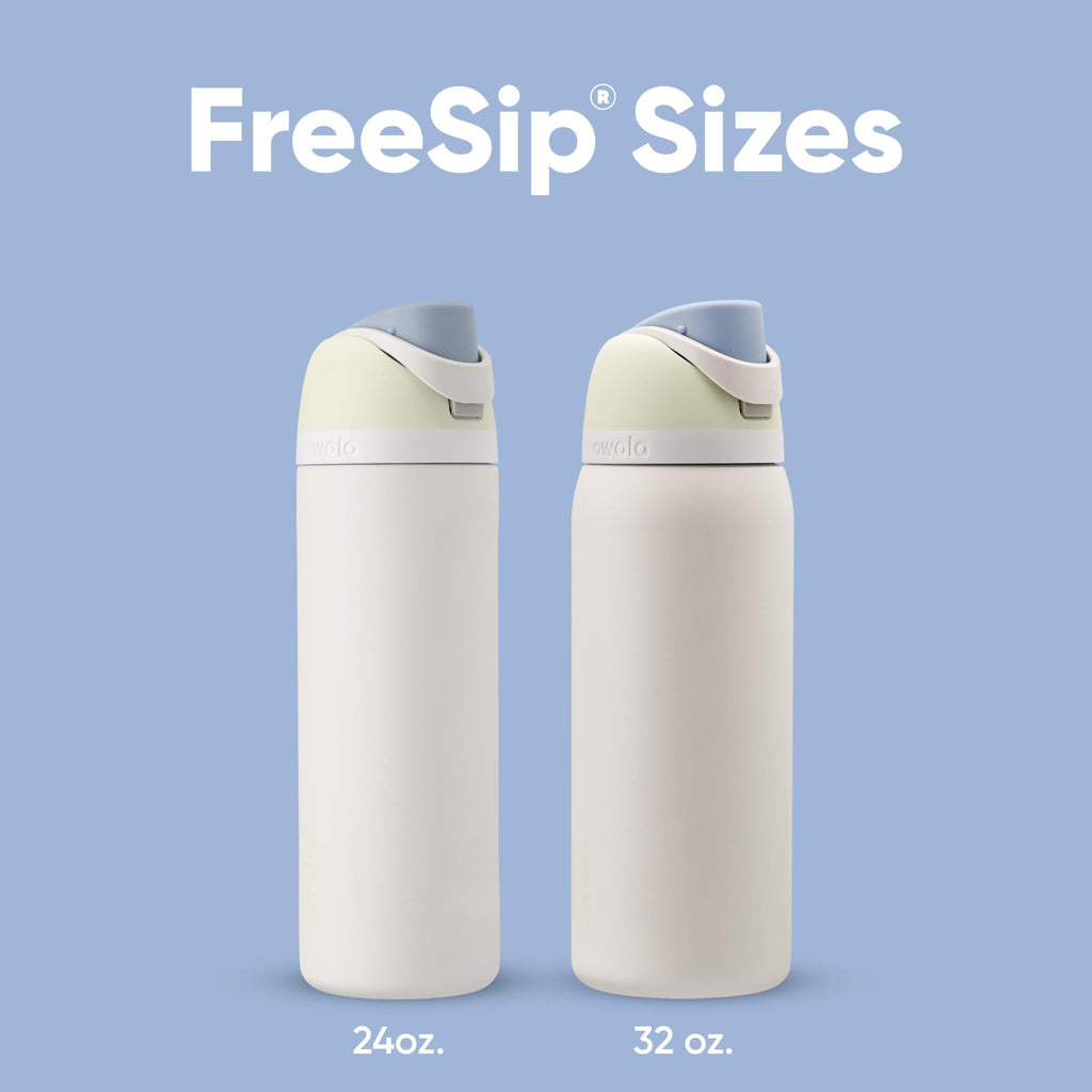 Owala FreeSip Insulated Stainless Steel Water Bottle with Straw for Sports and Travel, BPA-Free, 24oz, Iced Breeze