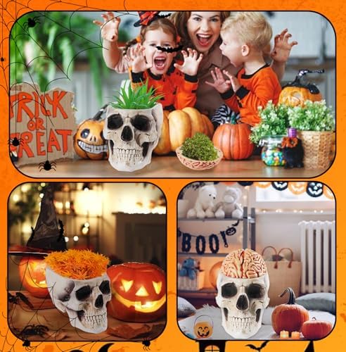 Skull Bowl, Halloween Skull Candy Dish, Human Head Flower Pot Planter Bowl, Resin Skull Head With Brain for Halloween Christmas Candy Servers