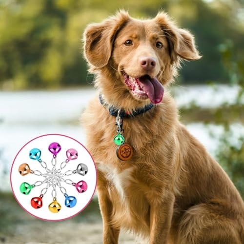 10 pcs Pet Bells for Dog Cat Collar, Metal Round Collar Charms Loud Crisp Sound with Clasps, Kitten Small Animal Pendant Accessories, Christmas Decoration Jingle Bell(Colourful)