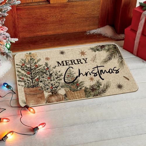 Artoid Mode Holly Merry Christmas Doormat, Winter Xmas Ornament Home Decor Low-Profile Switch Rug Door Mat Floor Mat for Indoor Outdoor 17x29 Inch