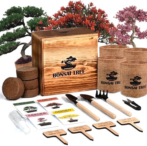 Bonsai Garden Starter Kit, 4 Seeds Growing into Sakura, Ginkgo, Black Pine, Red Flame, Including Complete Gardening Tools & A Wooden Box with Cover, Christmas Gifts for Men Women Beginners