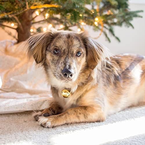 120 Pcs Christmas Jingle Bells 0.5 Inch, 4 Colors Mixed Mini Craft Jingle Bells Colorful Metal Bells for Wreath Holiday Home and Christmas DIY Decoration (4 Colors, 0.5 inch)