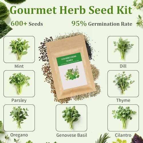 10-Set Indoor Herb Garden Starter Kit, 7 Seeds Growing into Basil, Parsley, Thyme, Mint, Cilantro, Dill, Oregano Including 10 White Pots, Markers, Nutritional Soil, Ideal Christmas Gifts for Women