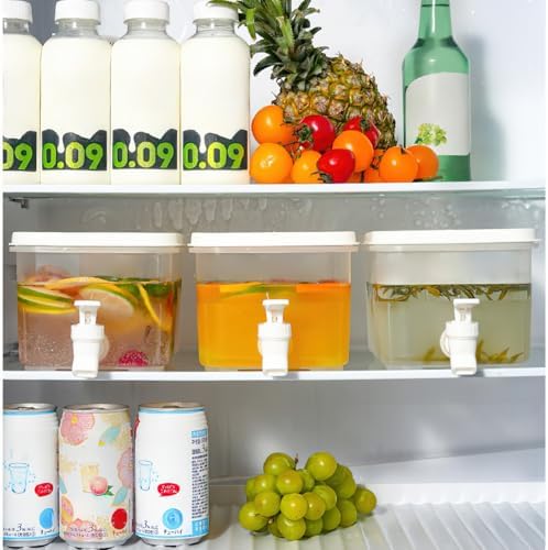 1 Gallon Beverage Drink Dispenser for Fridge, Plastic Beverage Dispenser with Spigot，Juice Container Sealed with Filter Screen，Cold Hot Drink Jug for Christmas Party Supplies (2PCS 1Gallon)