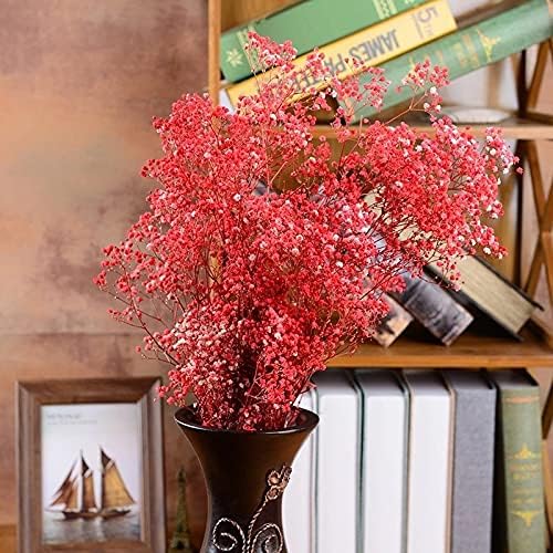 3800+ Dried Red Babys Breath Flowers Bouquet, 17" Dried Flowers for Vase, Preserved Gypsophila Branches for Crafts, Wedding, Christmas, Valentine‘s Day, Home Party Decor, DIY Wreath Floral(3Oz)