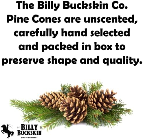 100 Mix Size Natural Pine Cones, 50 Medium & 50 Small Unscented Pinecones Crafts Ornament for Decorating, Pine Cones Craft for Table, Home Decor, Vase Fillers, Desk & Christmas Trees by Billy Buckskin