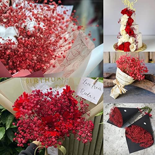3800+ Dried Red Babys Breath Flowers Bouquet, 17" Dried Flowers for Vase, Preserved Gypsophila Branches for Crafts, Wedding, Christmas, Valentine‘s Day, Home Party Decor, DIY Wreath Floral(3Oz)