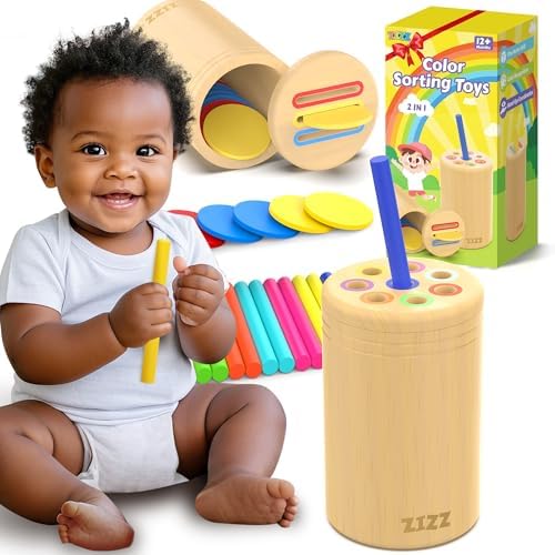 ZIZZ Montessori Toys for 1-3 Years Old - Color Sorting Toys for 1-3 Year Old Toddler Color&Shape Learning Game Educational Toy for Toddler Ages 2-4 Toddlers Christmas Birthday Gifts