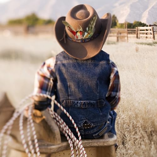 10Pcs Hat Feathers, Natural Feathers Peacock Feathers for Hats, Colorful Feathers Pin Cowboy Hat Feather for Western Cowboy Hats Christmas Party Hats, Feathers Accessories DIY Decorations (10 Style)