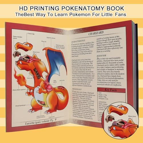 Pokenatomy Envelopes Binder Christmas & Birthday Gifts for Fans Kids Adults