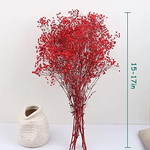 3800+ Dried Red Babys Breath Flowers Bouquet, 17" Dried Flowers for Vase, Preserved Gypsophila Branches for Crafts, Wedding, Christmas, Valentine‘s Day, Home Party Decor, DIY Wreath Floral(3Oz)