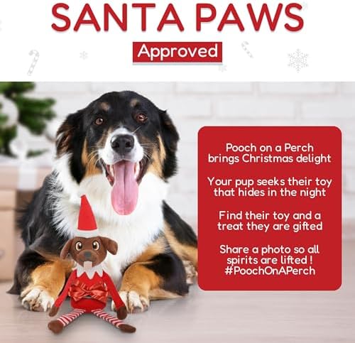 Pooch on a Perch - Christmas Elf Dog Toy, Cute Plush Dog Present with Crinkle & Squeak, Elf Pet Holiday Toy & Puppy Stocking Stuffer