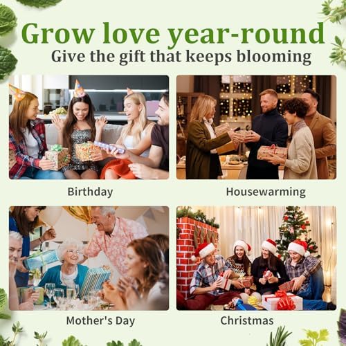 10-Set Indoor Herb Garden Starter Kit, 7 Seeds Growing into Basil, Parsley, Thyme, Mint, Cilantro, Dill, Oregano Including 10 White Pots, Markers, Nutritional Soil, Ideal Christmas Gifts for Women