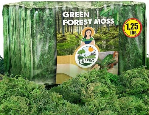 [Upgraded] DUSPRO Green Moss for Crafts, Real Forest Moss Potted Plants, Decorative Mosses for Table Centerpieces Wedding Christmas Fairy Party Decor, Indoor Planters, DIY Project (1.25 Lbs)