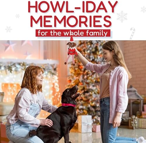 Pooch on a Perch - Christmas Elf Dog Toy, Cute Plush Dog Present with Crinkle & Squeak, Elf Pet Holiday Toy & Puppy Stocking Stuffer