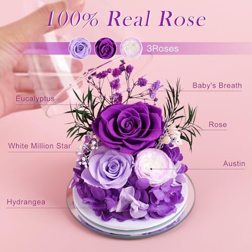 FIACO Gifts for Women Mom Preserved Rose Forever Flower in Glass Angel Figurine Fresh Flowers for Delivery Birthday Gifts for Grandma Wife Sister Christmas Anniversary Eternal Purple Roses