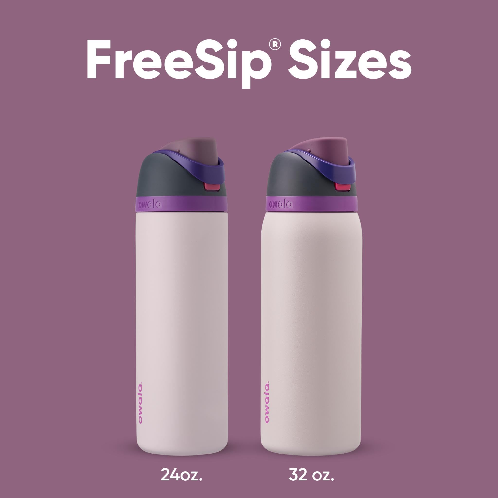 Owala FreeSip Insulated Stainless Steel Water Bottle with Straw for Sports and Travel, BPA-Free, 32oz, Dreamy Field