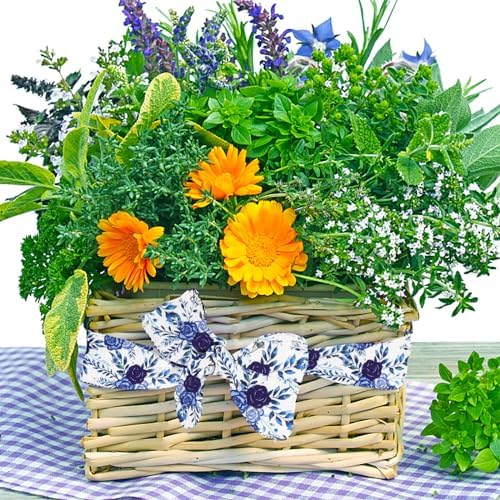 2 Rolls Christmas Flowers Ribbons for Wreath Bows, 2.5"×10 Yards Blue Velvet Wired Edge Ribbon Blue Rose Ribbons for Crafting Wedding Bridal Shower Decorations Supplies