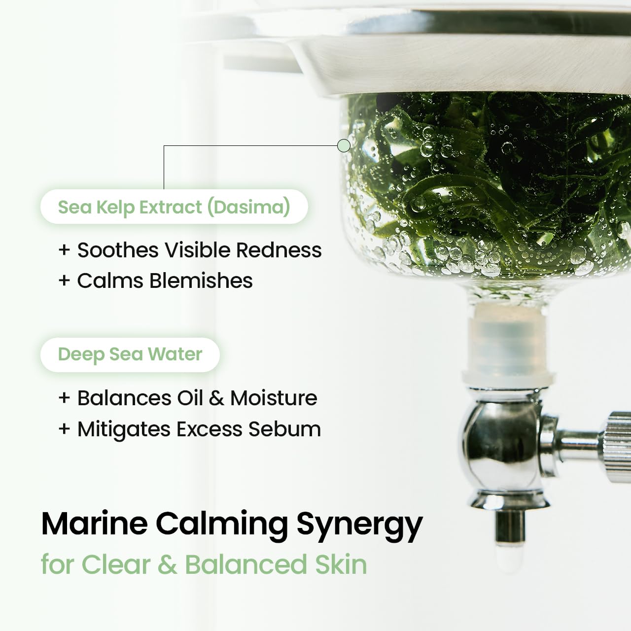 BIODANCE Refreshing Sea kelp Real Deep Mask, Overnight Hydrogel Face Mask, Calming, Oil & Sebum Control, Blemish Care, After Sun Care, Sunburn Relief, Korean Skin Care | 1.19oz(34g) x 4ea