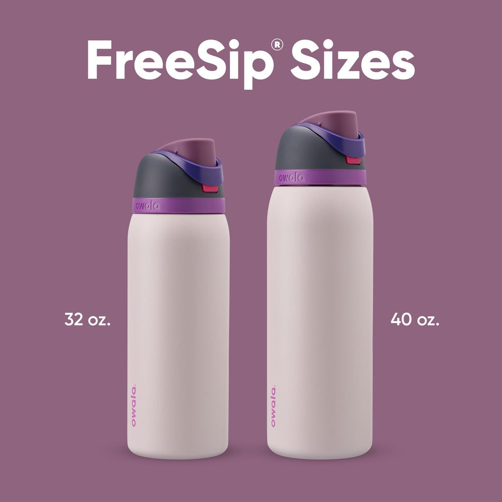 Owala FreeSip Insulated Stainless Steel Water Bottle with Straw for Sports and Travel, BPA-Free, 40oz, Dreamy Field