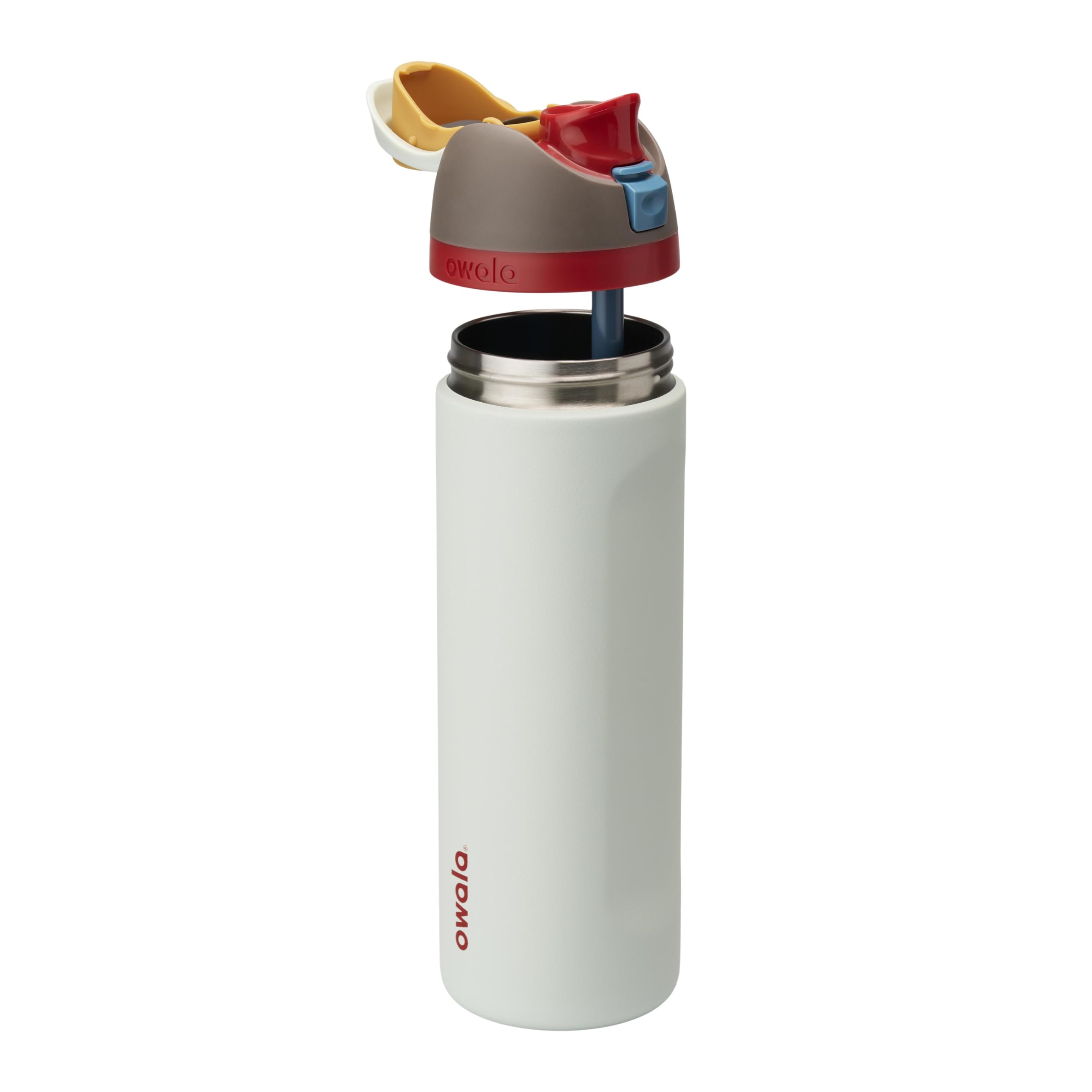 Owala FreeSip Insulated Stainless Steel Water Bottle with Straw, BPA-Free Sports Water Bottle, Great for Travel, 24 Oz, Boneyard