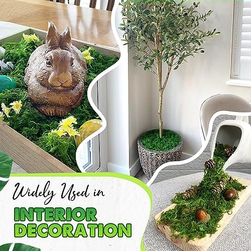 [Upgraded] DUSPRO Green Moss for Crafts, Real Forest Moss Potted Plants, Decorative Mosses for Table Centerpieces Wedding Christmas Fairy Party Decor, Indoor Planters, DIY Project (1.25 Lbs)