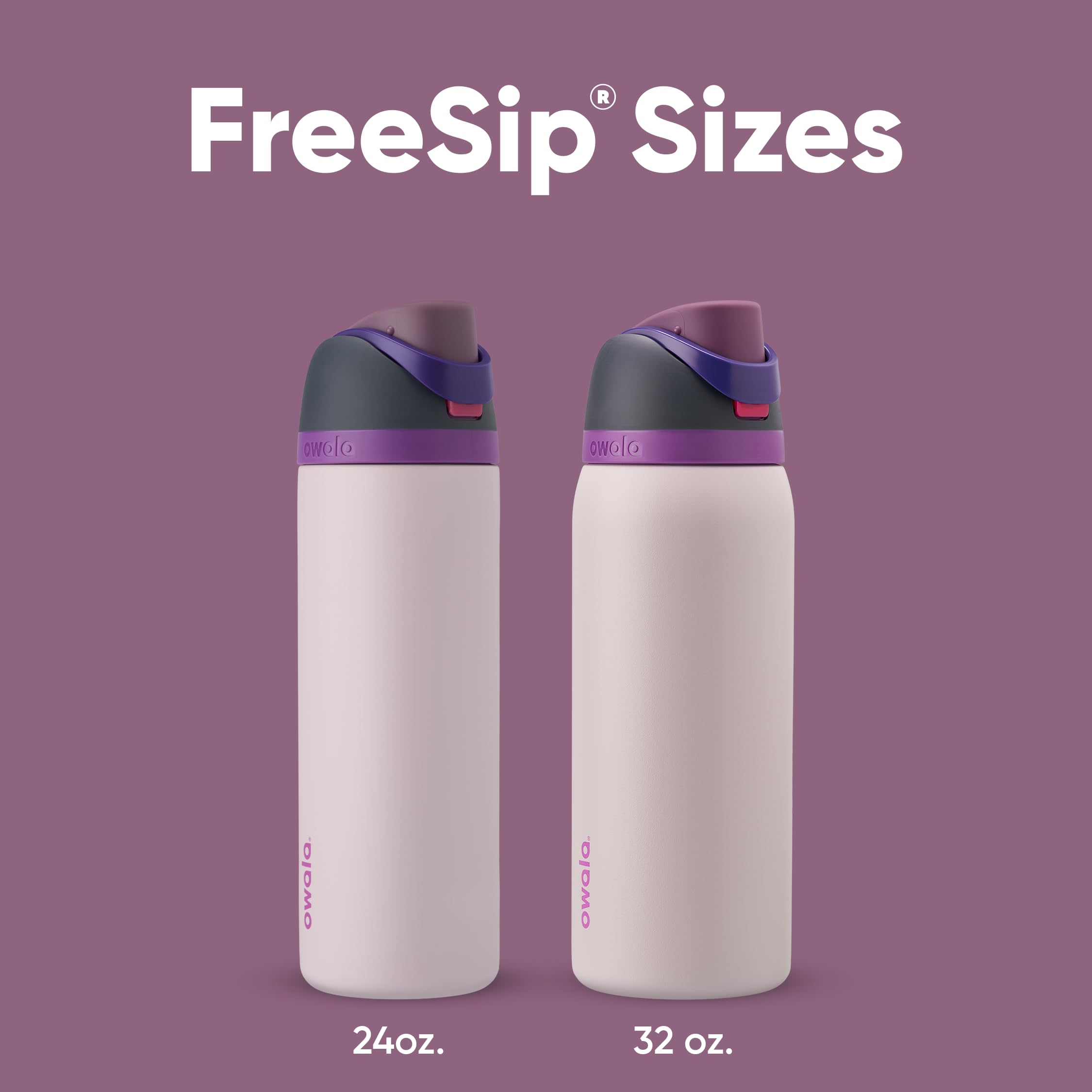 Owala FreeSip Insulated Stainless Steel Water Bottle with Straw for Sports and Travel, BPA-Free, 24oz, Dreamy Field