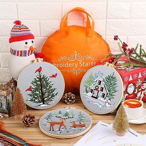 Tigeen 5 Sets Christmas Embroidery Kit for Adults Cross Stitch Embroidery Kit for Winter Snow Scene Christmas Tree with Instructions Hoops Needles Colored Threads Needle